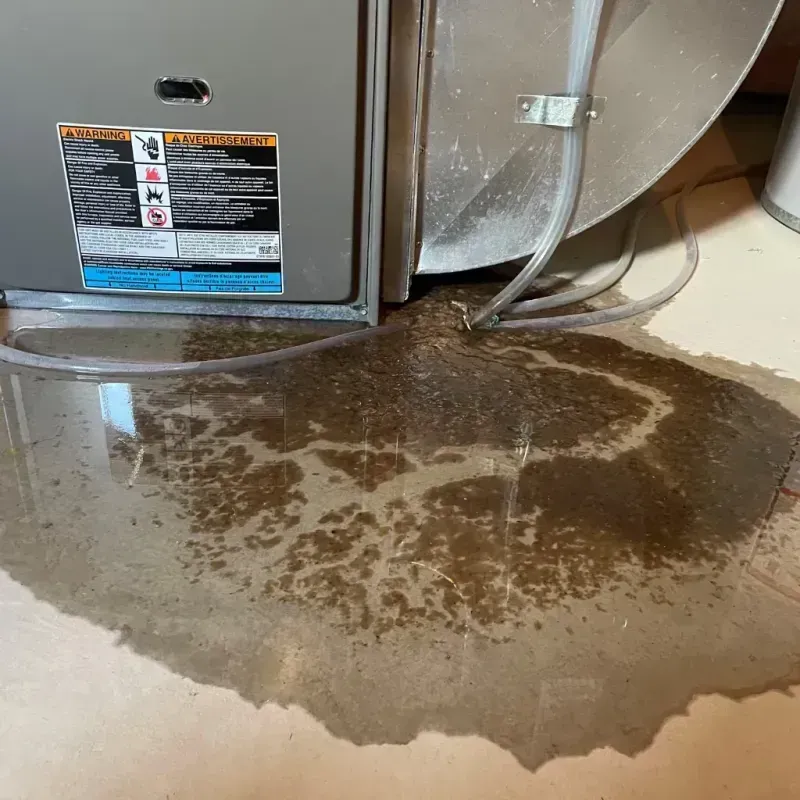 Appliance Leak Cleanup in Kirkland, WA